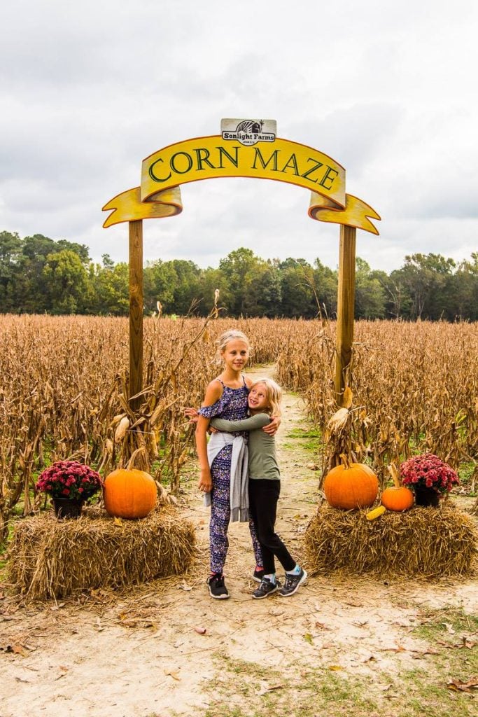 Pumpkin Patches in The Research Triangle, NC